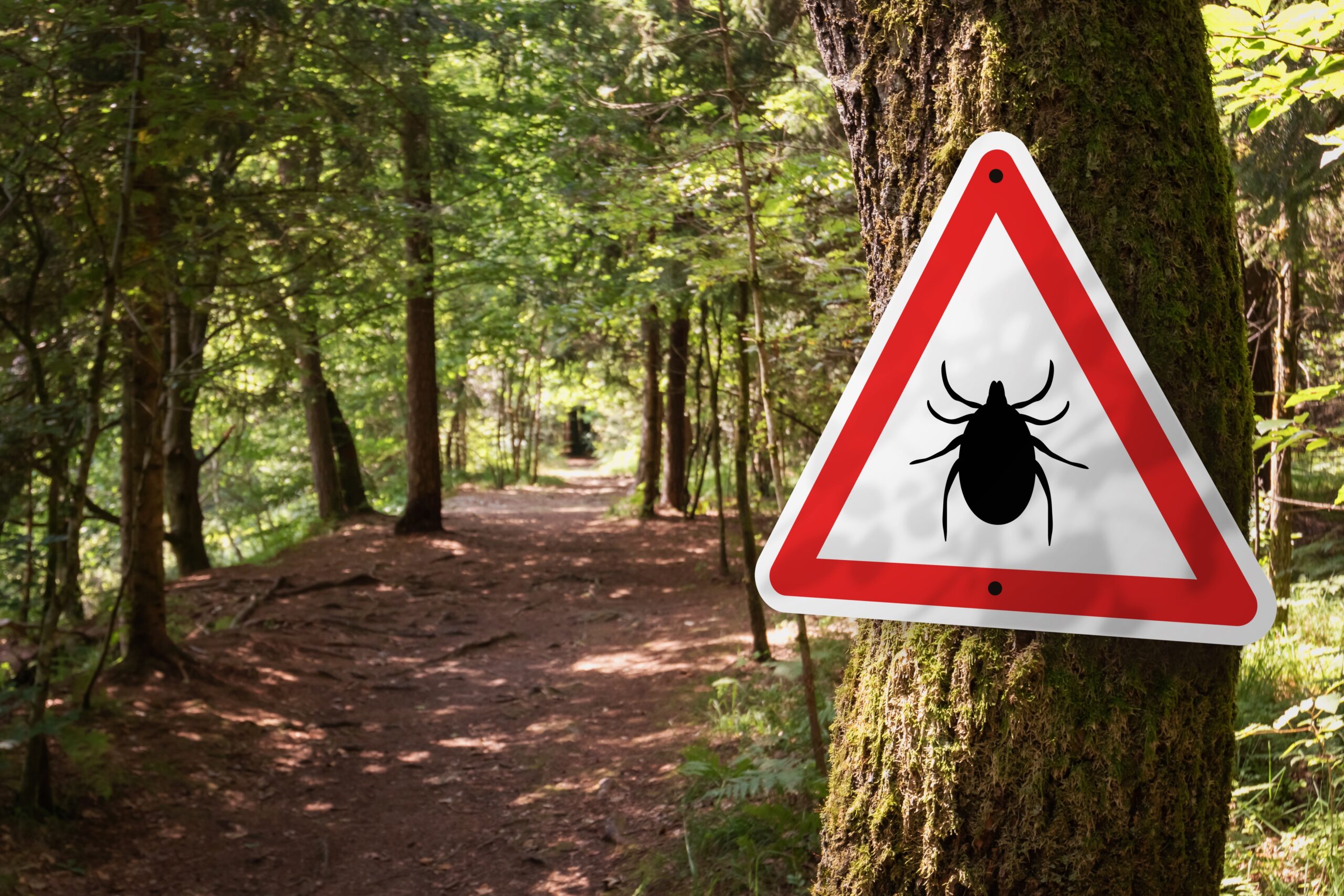 Skilt i en skov der signalerer risiko for flåter